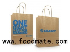 Eco Friendly Recycle Grocery Paper Bag Printed