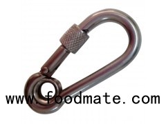 Stainless Steel Snap Hook Carabiner With Screw And Eyelet