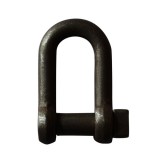 12mm Galvanising Trawling Shackles With Square Head Screw Pin