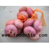 TUTICORIN EXPORTERS WHOLESALE DEALERS SUPPLIER ONION