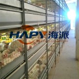 Full Set Mordern Farm Broiler Poultry Cage Equipment