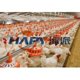 Large Breeder Farm Pan Feeding Equipment