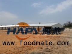 Light Steel Structure Broiler Shed