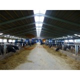 Steel Frame Prefabricated Cattle Shed