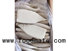 Frozen Squid Tube