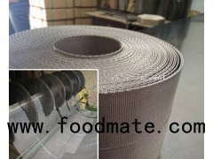 Stainless Steel Wire Mesh Belt Filter Screen