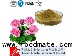 Geraniu(Pelargonium Sidoides) Flower Extract Manufacturers