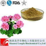 Geraniu(Pelargonium Sidoides) Flower Extract Manufacturers