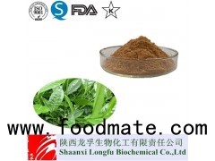 Factory Supply Green Tea Extract Powder,Tea Polyphenols,EGCG,Catechin