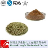 Wholesales Fennel Seed Extract Powder