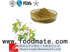 Best Mimosa Hostilis Extract/Mimosa Tenuiflora Bark Extract