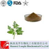 Factory Supply Manufacturer Supply Ashitaba Extract Powder/Ashitaba Leaf Powder Capsule