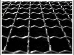 Stainless Steel Crimped Wire Mesh