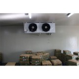 Freezer Cold Room Construction