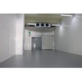 Low Temperature Cold Room Construction