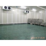 CA Fresh Cold Room Construction
