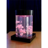 Household Decoration Tabletop Jellyfish Tank Aquarium Deco For Home Office Ceremnoy Bar Resturant Ho