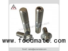 Gr5 Titanium Nut and Screws for Automobile with Bright Surface and Thickness Tolernace