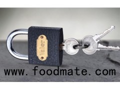 Heavy Duty Grey Color Spray-paint Casting Brass Cylinder Iron Padlock With Normal Key
