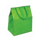 Promotional Portable Insulated Non Woven Wine Cooler Bag For Drinking When Thirsty