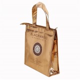 Recyclable Laser Cooler Bag With Aluminum Foil Thermal For Students