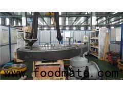 Spur Gear And Pinion Driven Slewing Drive