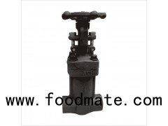 International Standard Manual Screw Butt Welded Bellow Seated Carbon Steel Gate Valve