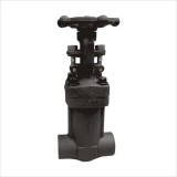 International Standard Manual Screw Butt Welded Bellow Seated Carbon Steel Gate Valve