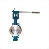 Cast Steel WCB Elastic Butterfly Valve Dn100