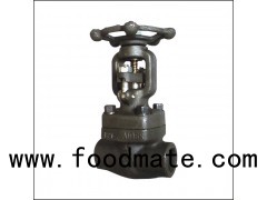 Class 150 - Class1500 Forged Steel Threaded End Globe Valve