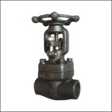 Class 150 - Class1500 Forged Steel Threaded End Globe Valve