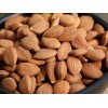 Sweet Apricot kernels