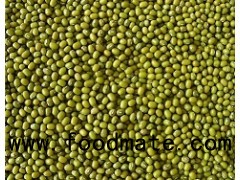 Green Mung Bean