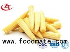 Canned Baby Corn With Whole Organic Corn