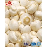 Champignon Mushrooms With White Button