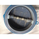 PFA FEP Lined Dual Plate Check Valve