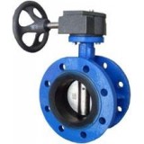 Cast Iron/Brass/Stainless Steel Lug Style Flanged Butterfly Valve