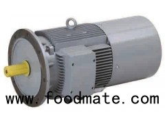 Hoist 3 Phase Induction Electromagnetic Braking Motor