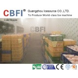 Walk In Freezer Cold Storage Warehouse Facilities Customized For Fish Chicken And Meat