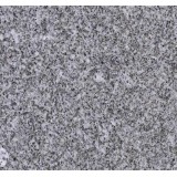 Pepper White Granite G603 Is A Light Grey Granite A White With Grey Granite With White Cabinet For B