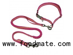 Best Hands Free Dog Leash Belt For Running