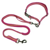 Best Hands Free Dog Leash Belt For Running