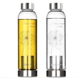 Wholesale Portable BPA Heat Resistant Pyrex Glass Water Bottle with Infuser