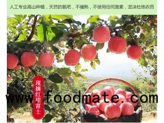 new fresh fruits red Fuji apples