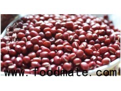 new crop small red kidney beans