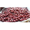 new crop small red kidney beans