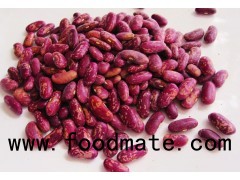 New crop2016 Dark Red Kidney Beans/ DRKB/ RAJMA for sale