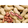 Quality Raw Peanuts Kernel / Raw Peanut in Shell for sale