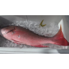 Cod Fish / Whole Frozen Reef Cod Fish