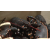 Live Sweden Lobster (Homarus Americanus)